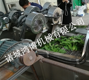 中草藥風(fēng)干機