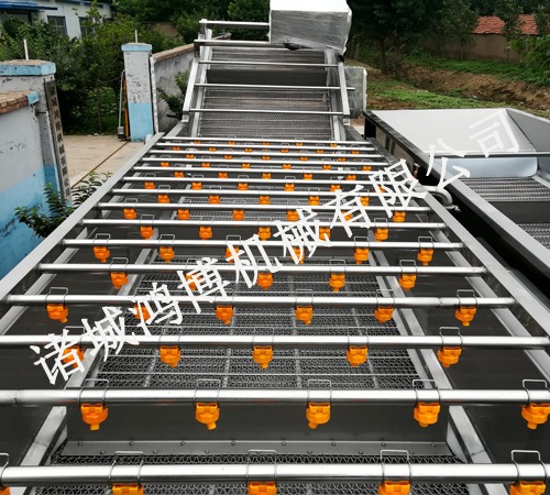 專業(yè)蔬菜清洗機(jī)