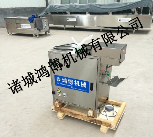 多功能不銹鋼蘋果去皮機(jī)